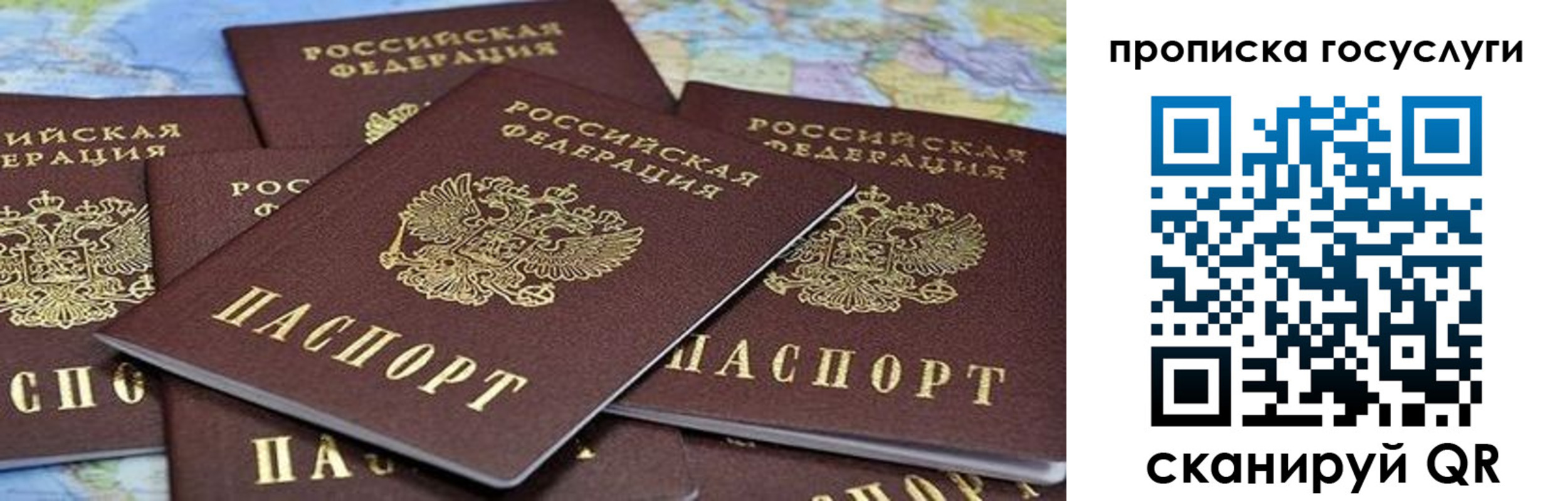 пропишу в квартире в Ржеве